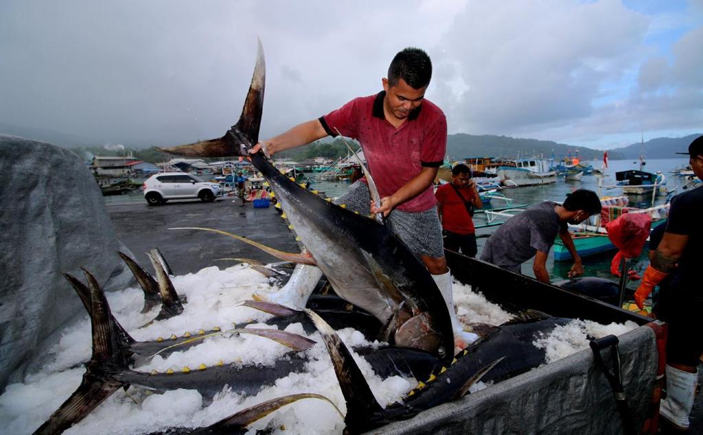 KEBIJAKAN PENANGKAPAN IKAN TERUKUR ADALAH BENTUK MALADAPTASI KRISIS IKLIM